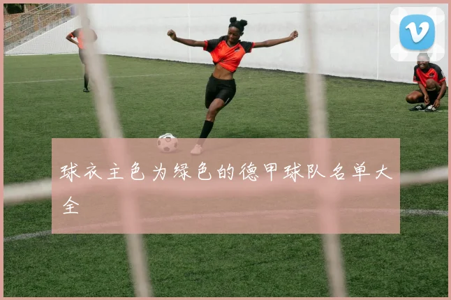 球衣主色为绿色的德甲球队名单大全