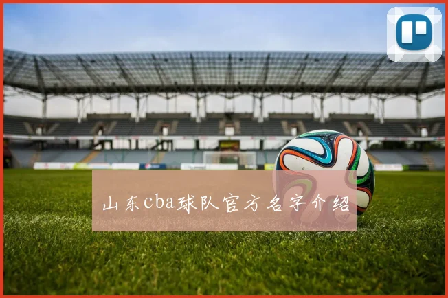 山东cba球队官方名字介绍