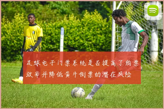 足球电子门票系统是否提高了购票效率并降低黄牛倒票的潜在风险